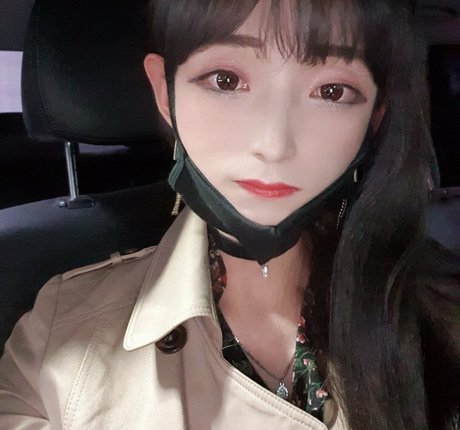 Pandor a modèle gratuit images