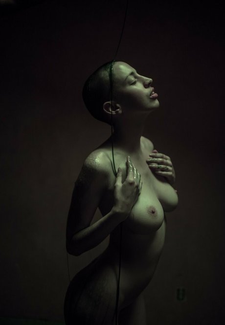 ventilateurs en silicone uniquement parfait chaud collection