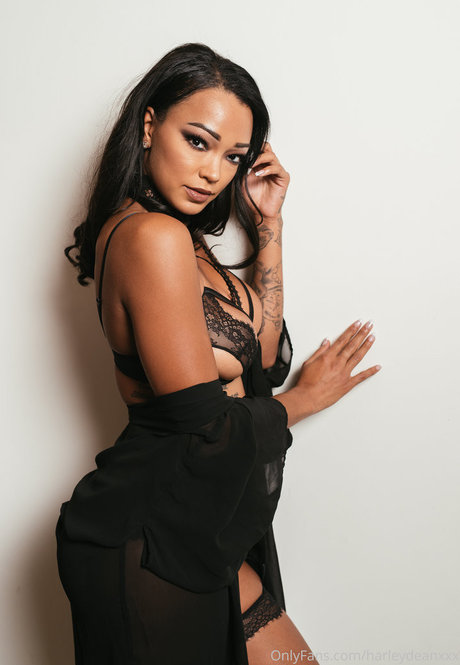 Harley Dean Profilfoto