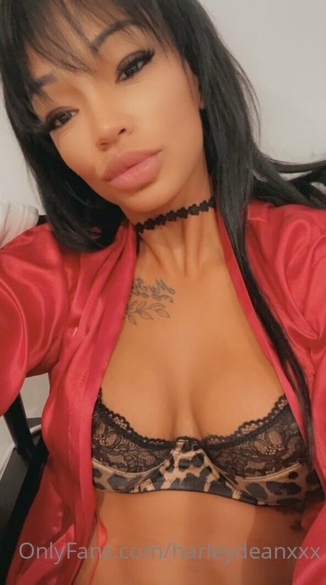 Harley Dean star du porno xxx image