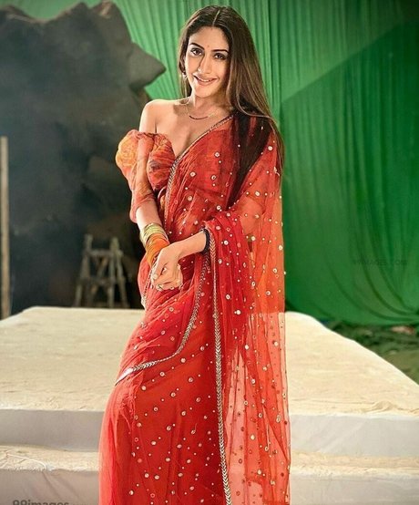 top 2024 des fans uniquement porno parfait collection