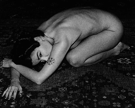 Bjork art star du porno photo