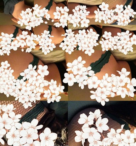 SmokeAndSomno étoile gratuite photos