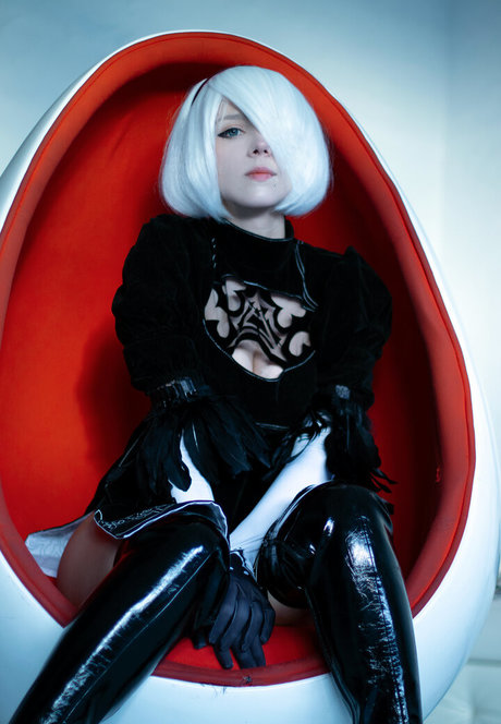 Takeomeow étoile sympa img