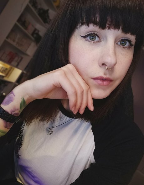 romisu art de star du porno collection