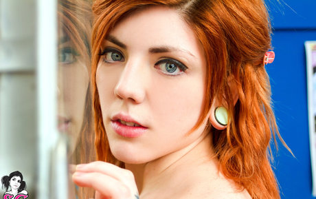 Lawita belle étoile img