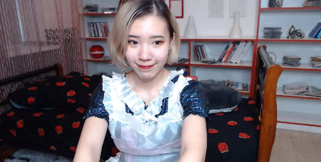 Pancakee étoile adulte galeries