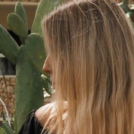 vannmeyr modèle archive