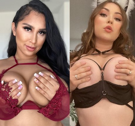 mrzmoco modèle parfait collection