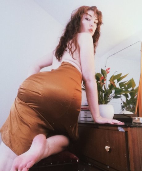 Dinky Demure étoile adulte galeries