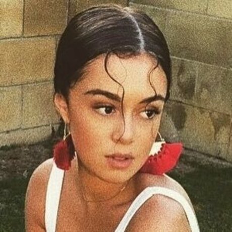 mademoiselleoz art star du porno collection