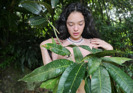 MakaylaCortez star du porno chaude image