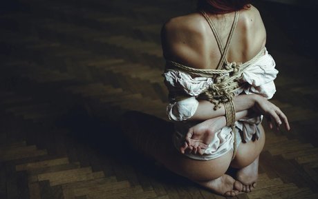 Auromineo modèle parfait galerie