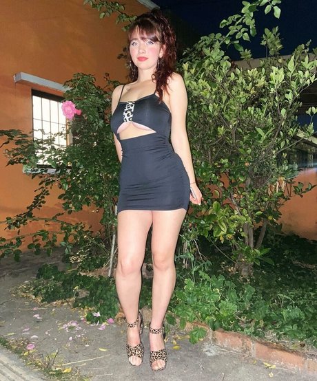 Sabri Silvera star du porno en haute qualité galeries