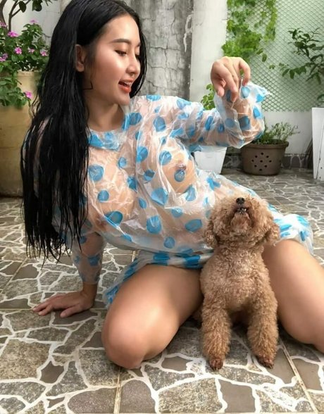 PongKyubi modèle meilleur collection