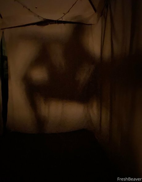 FreshBeaver belle étoile photo