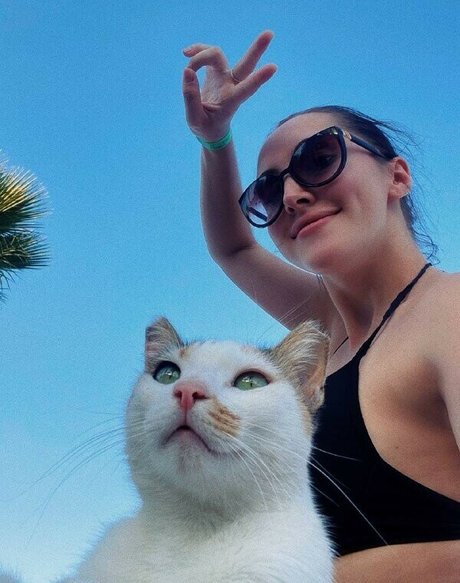 palmoliff jolie star du porno photo