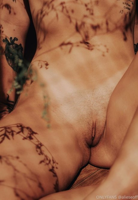 Aliesealieseoff art étoile galeries