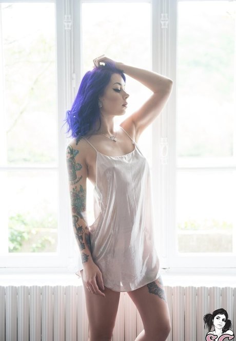 Plum sg actrice adulte collection