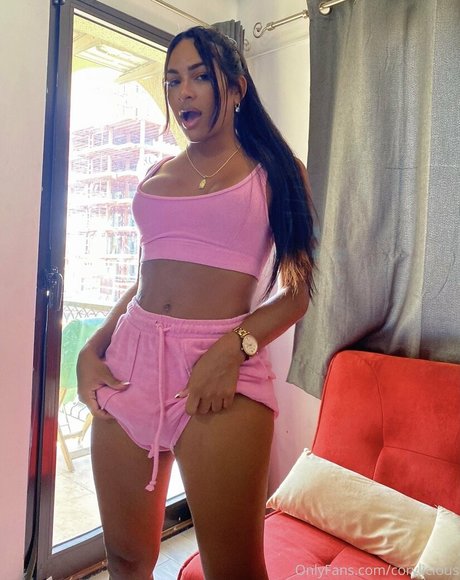 fans vérifiés uniquement art pornographique collection