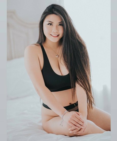 Windellia modèle joli collection