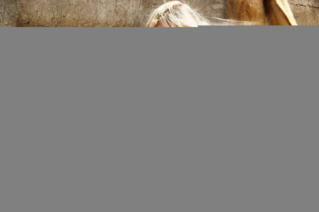 fellation mature uniquementfans xxx sexy collection