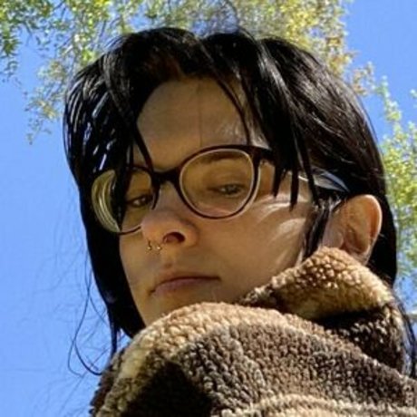 Echo Noir étoile parfaite image