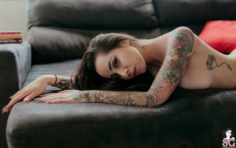 Eveelsg modèle artistique images