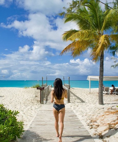 Anna Sawai star du porno chaud images