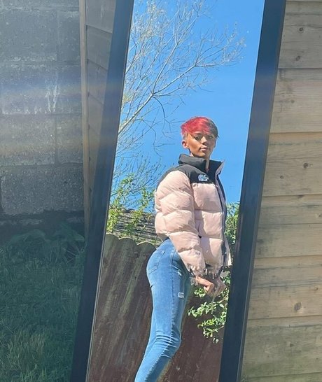 dolladills étoile de haute qualité galeries