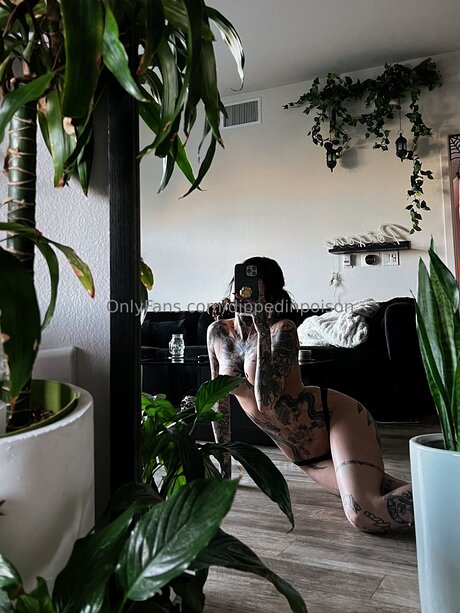 Dippedinpoison étoile érotique photos