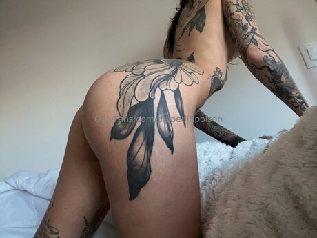 fans asiatiques sexy uniquement meilleur sympa archive