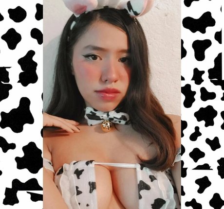 iNoheli star du porno de haute qualité photo