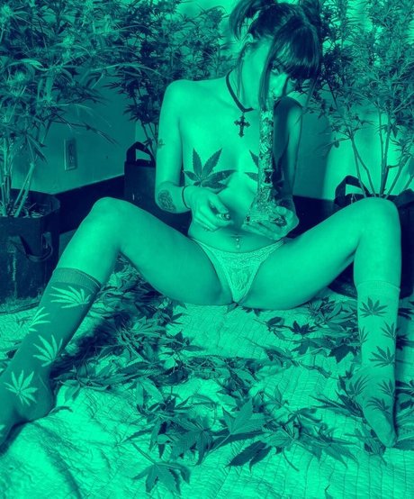 Amethyst queen19 étoile de haute qualité galeries