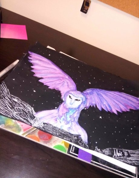 pandafluff1137 nus star du porno archive