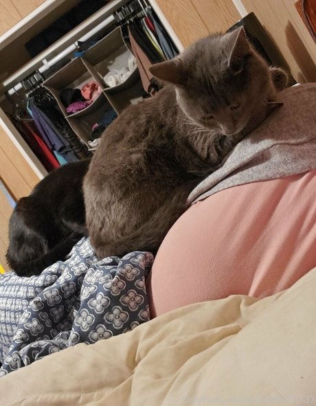 pandafluff1137 modèle de sexe photo