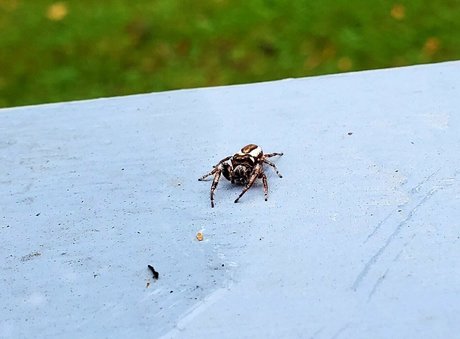 pandafluff1137 actrice chaude images