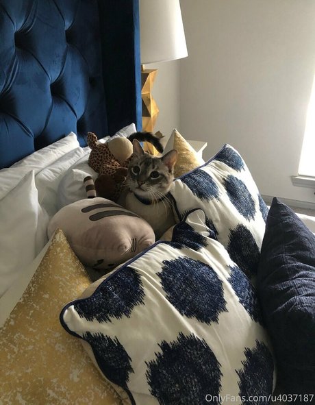 wolf6actual star érotique collection