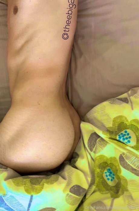 theerealmrbig modèle nu collection