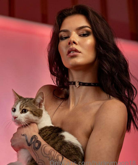 fans asiatiques sexy uniquement meilleur hd galeries