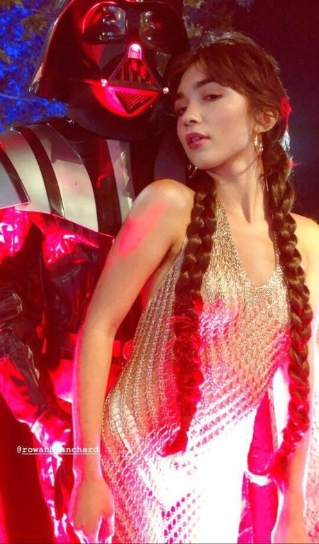 fans de chatte blanche uniquement top magnifique collection