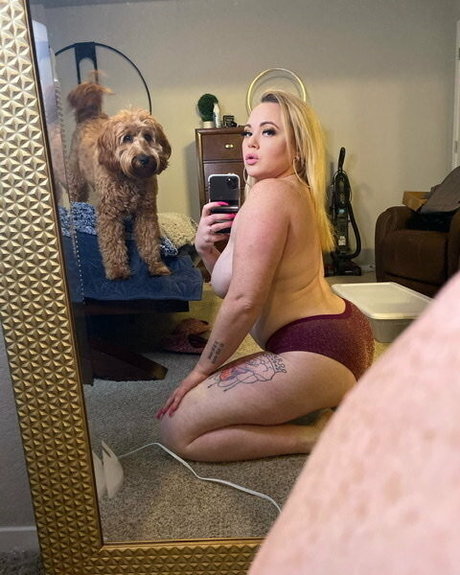 chaton potelé uniquementfans belle hd galerie