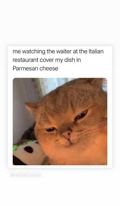 mark magnus420 meilleure étoile archive