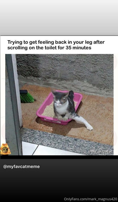 mark magnus420 art de star du porno galeries