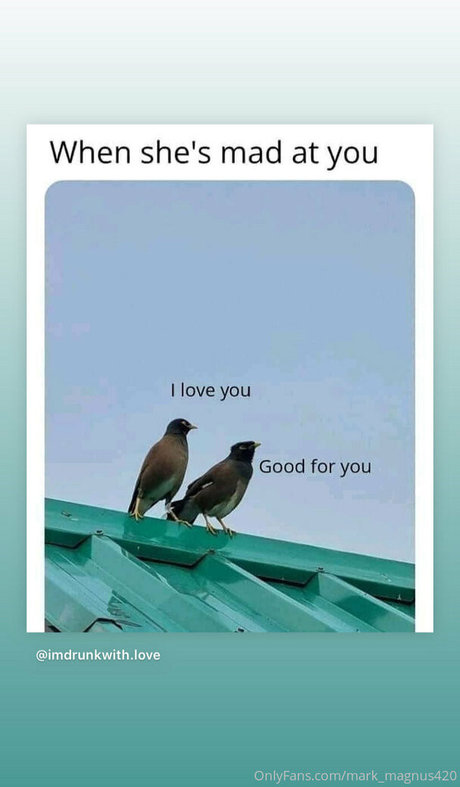 mark magnus420 étoile sympa photos