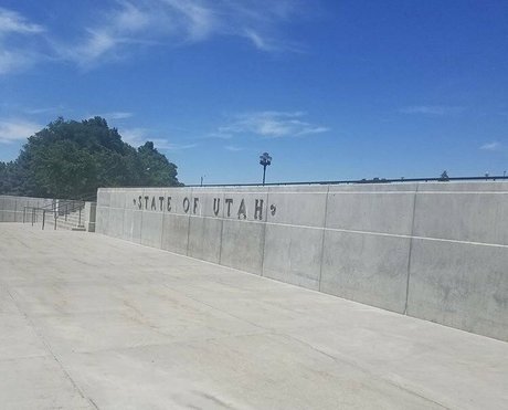 realbrandon818 jolie star du porno collection