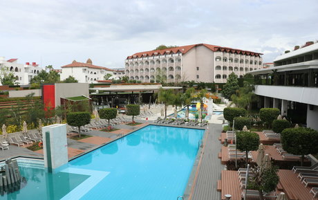 markkaczynski art star du porno img