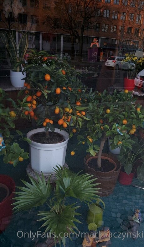 markkaczynski actrice nue galeries