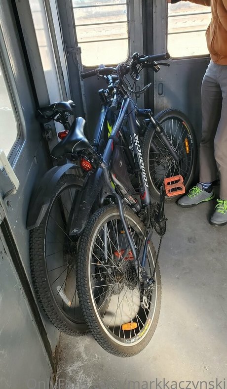 markkaczynski modèle de haute qualité img