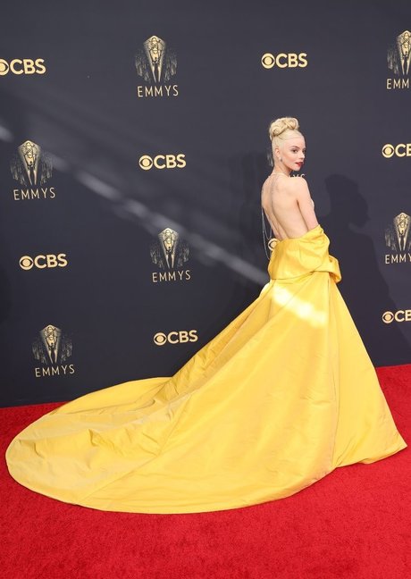 chaton potelé uniquementfans haute qualité parfait photo